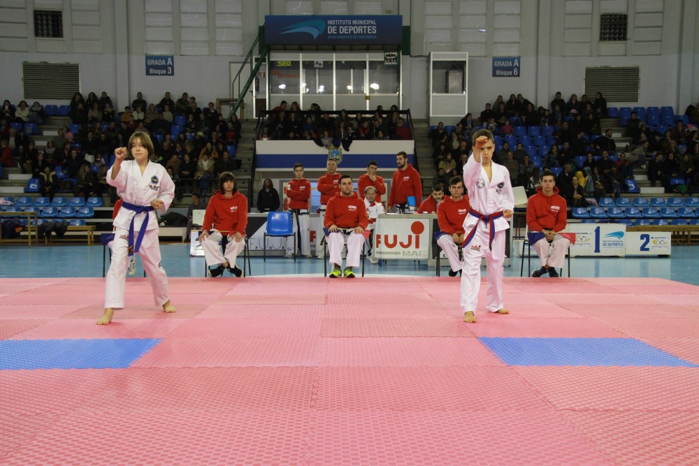 Taekwondo Dic 2016 (224).jpg